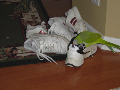 lynn_and_doug-05