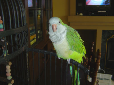 lynn_and_doug-18