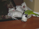 lynn_and_doug-05