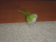 lynn_and_doug-06