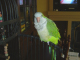 lynn_and_doug-18
